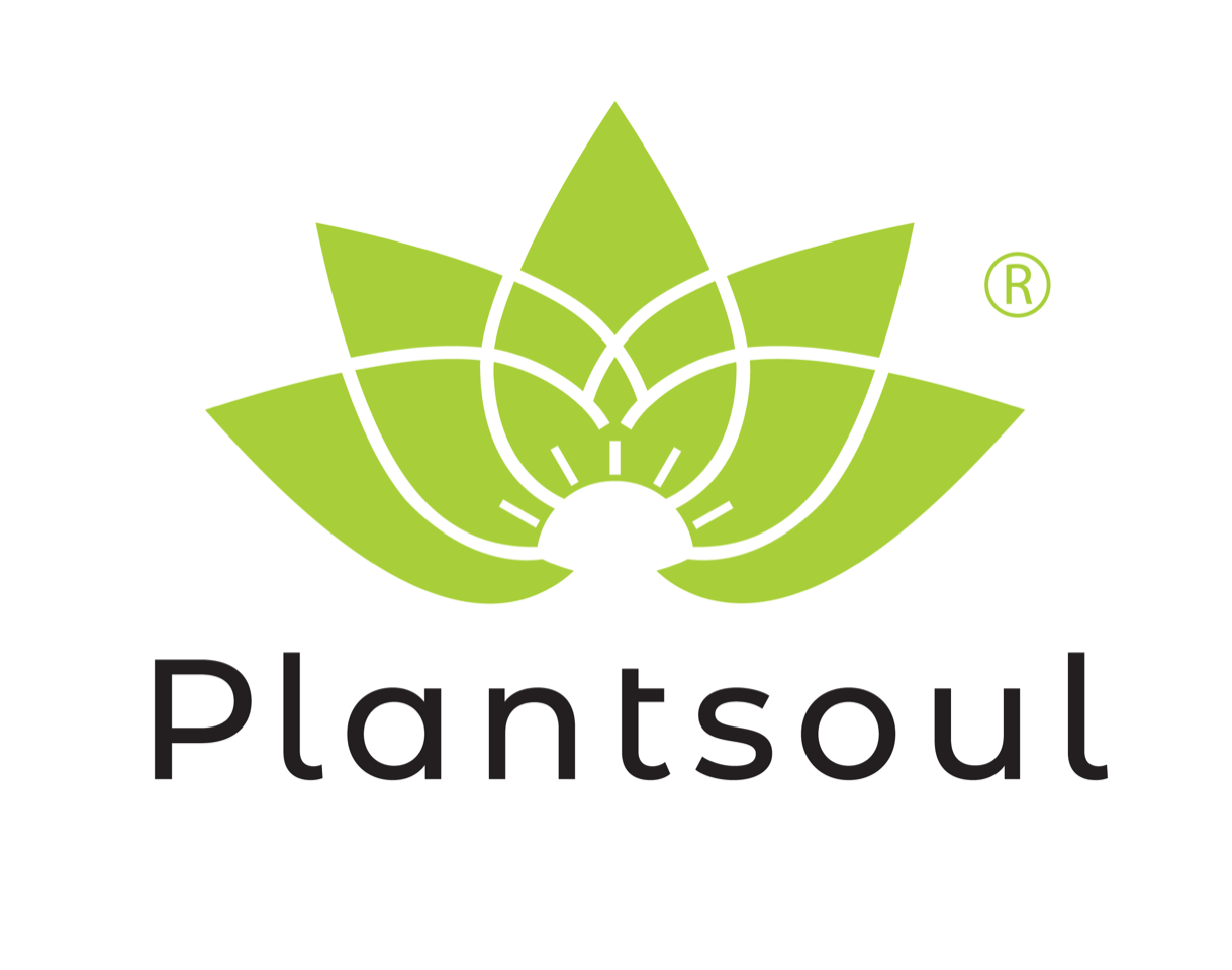 Plantsoul -Magokból, növényi alapanyagokból készült, adalékanyagmentes kézműves termékek