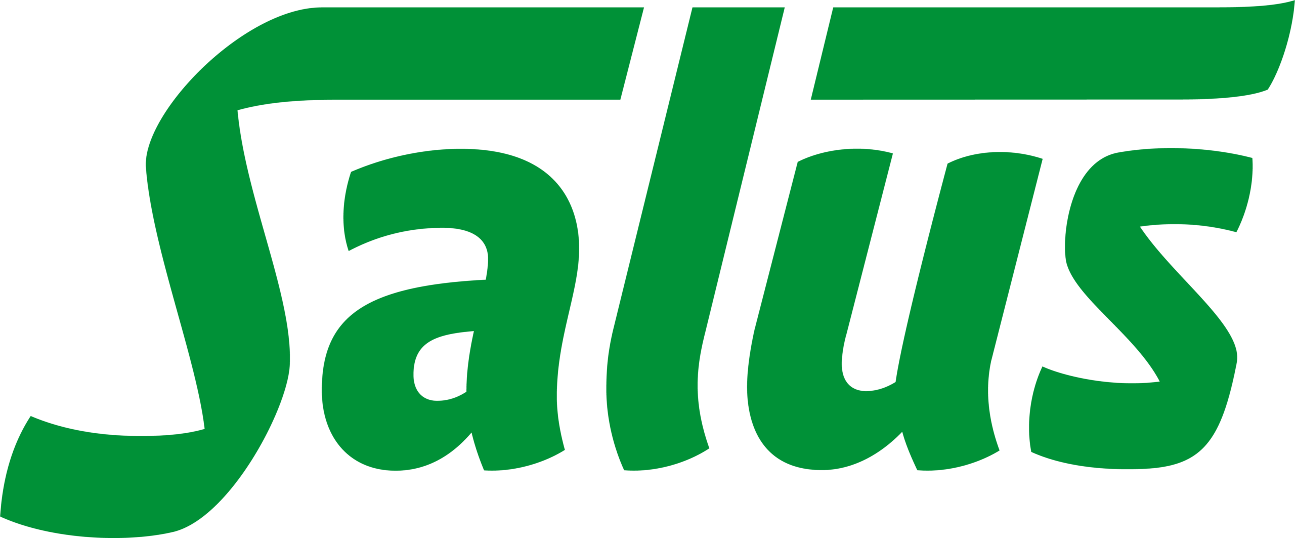 Salus - Vashiány Vérszegénység